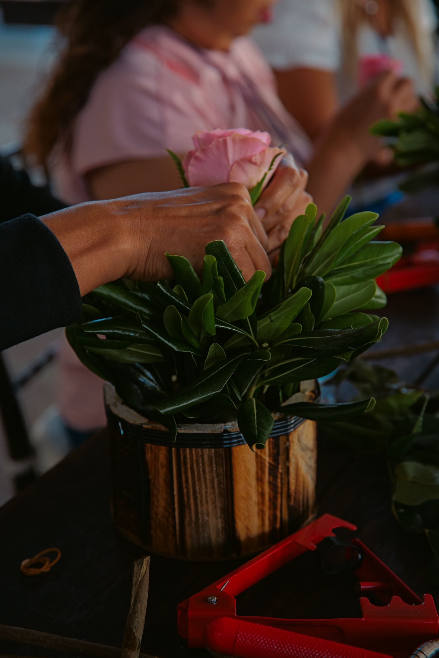 Pembe çiçek ve koyu yeşil yapraklarla düzenleme yapan eller